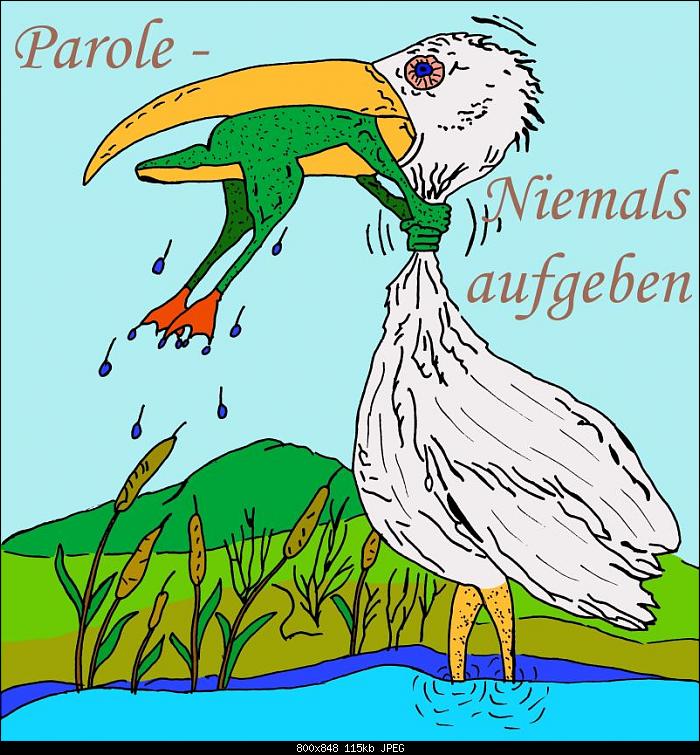 Klicke auf die Grafik für eine größere Ansicht

Name:	parole-niemals-aufgeben-57299.jpg
Hits:	292
Größe:	115,2 KB
ID:	2802